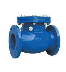 Check Valves Manufacturer in India