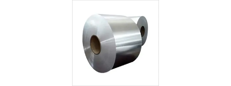 Stainless Steel 301 LN Coils Exporter in Saudi Arabia manufacturer supplier exporter India - Ferro Fittings and Alloys