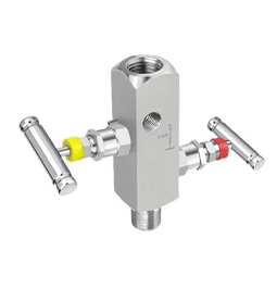 2 Way Manifold Valve Male X Female Manufacturer in India