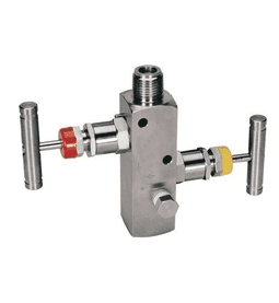 Instrumentation 2 Way Manifold Valve Manufacturer in India