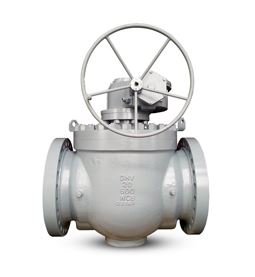 Top Entry Ball Valve Manufacturer in India