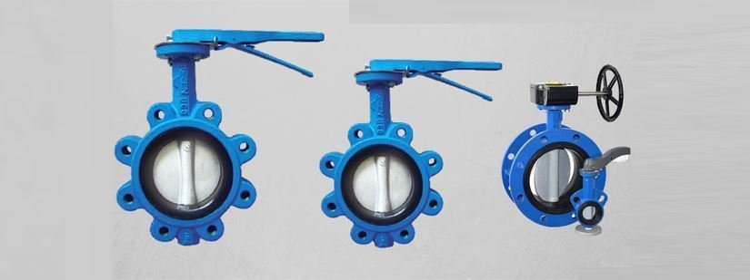 Butterfly Valves Manufacturer in India