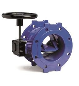 Double Eccentric Butterfly Valve Manufacturer in India