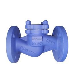 DIN Lift Check Valve Manufacturer in India