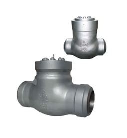 Pressure Sealed Check Valve Manufacturer in India