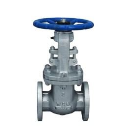 Cast Steel Gate Valves Manufacturer in India