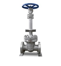 Cryogenic Gate Valve Manufacturer in India