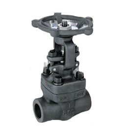 Forged Steel Gate Valve Manufacturer in India