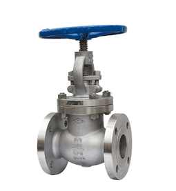 API Globe Valve Manufacturer in India