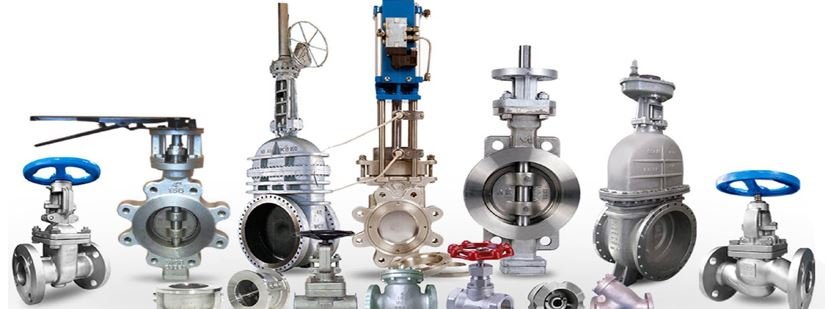 Globe Valves Manufacturer in India